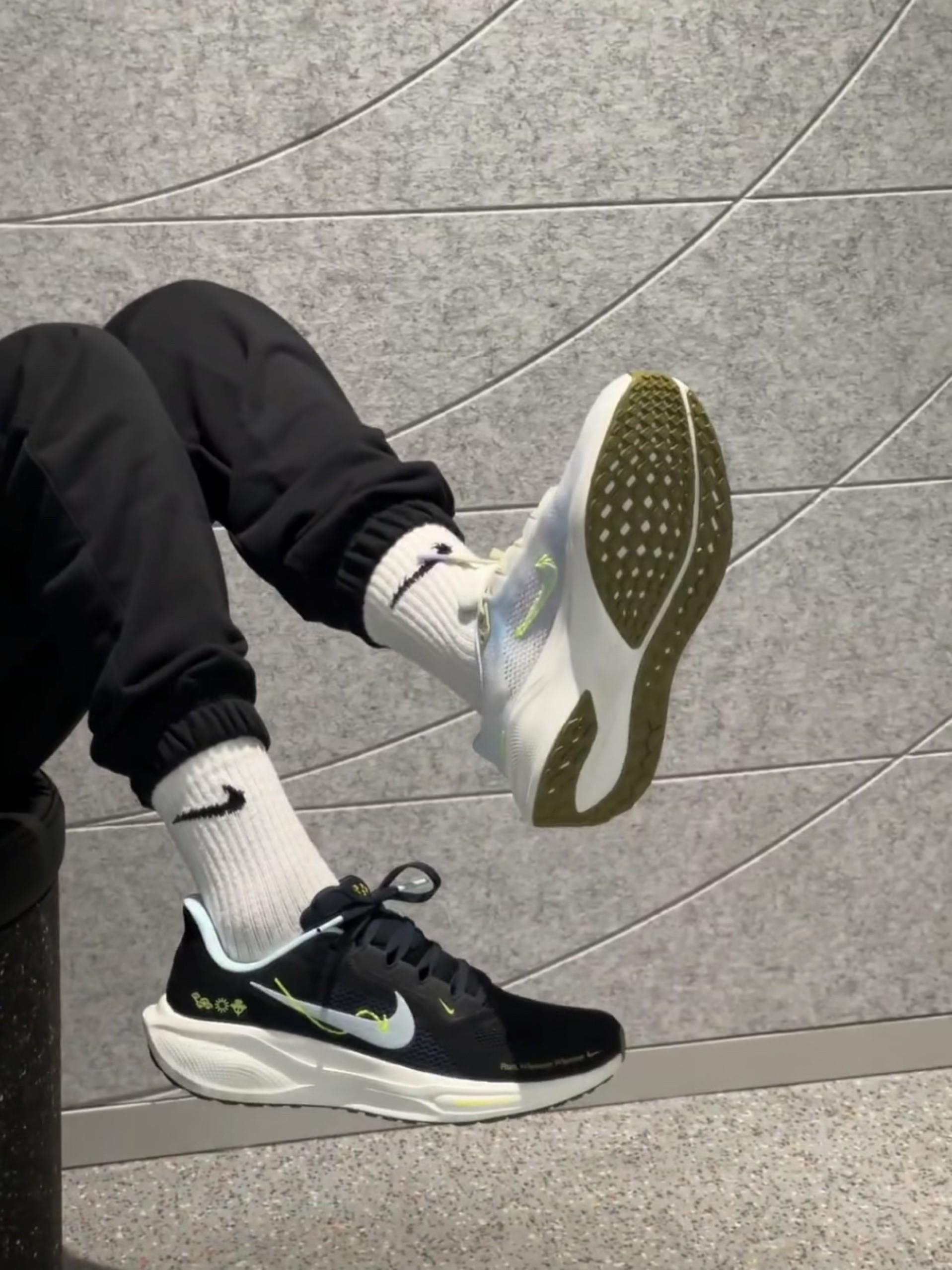 轻松系列飞马41 🖤💚